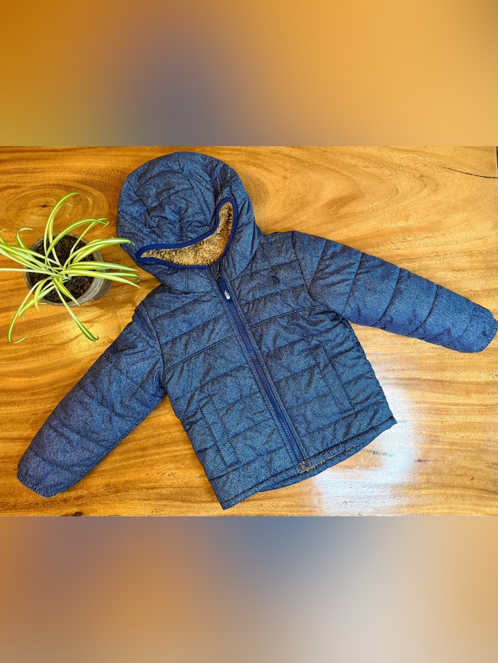 The North Face | Boys Reversible Hooded Jacket (2in1) - 4T